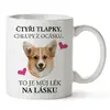 Čtyři tlapky, chlupy z ocásku - Shiba inu