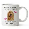Čtyři tlapky, chlupy z ocásku - Zlatý retrívr