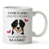 Čtyři tlapky, chlupy z ocásku - Bernský salašnický