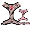 Postroj Reedog LEO PINK | Velikost: XXS