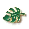 Monstera