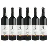 6x Cabernet Moravia