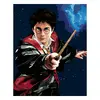 Harry Potter a hůlka