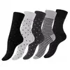 Dot Stripe (5 párů) | Velikost: 35–38