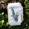 Přírodní tuhý šampon s kofeinem, rozmarýnem a tea tree olejem