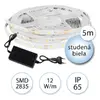 LED pásek voděodolný, 5 m - studená bílá