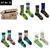 Spox Box 10 - Nature (5 párů ponožek) | Velikost: 36-39