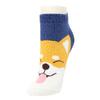 Ponožky nízké - pes