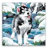 Husky 40 × 40 cm