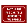 Plechová cedulka 20 × 15 cm - Tady hlídá pes jak tele