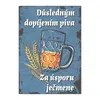 Plechová cedulka 30 × 20 cm - Důsledným dopíjením piva
