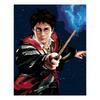 Harry Potter a hůlka