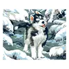 Malý husky