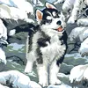 Diamantové maľovanie podľa čísel | Malý husky