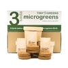 Pěstební sada Microgreens - 3 druhy
