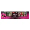 Anthon Berg Chocolate Cocktails, 250 g / 16 lahviček