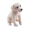 Labrador
