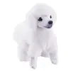 Pudl bílý