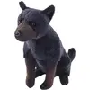 Kelpie tmavý