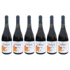 6x Pinot Blanc, 2022 (Rulandské bílé)
