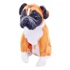 Boxer