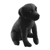 Labrador černý
