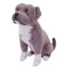 Pitbull šedý