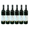 6x Cabernet Moravia
