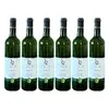 6x Sauvignon 2022