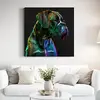 Německý boxer neon | Rozměr: 30 × 30 cm
