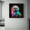 Bišonek neon | Rozměr: 30 × 30 cm