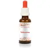 Bachovy esence - Nekouřím, 30 ml