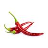 Semínka chilli Cayenne Red Long Slim 10 ks