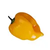 Semínka chilli Habanero Hot Lemon 10 ks