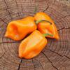 Semínka chilli Habanero Orange 10 ks