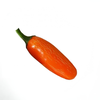 Semínka chilli Jalapeno Orange 10 ks