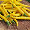 Semínka chilli Cayenne Yellow 10 ks