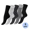 Dot Stripe (5 párů) | Velikost: 35–38