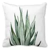 Aloe