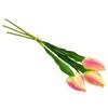 Svazek 3 ks tulipánů | Růžová žíhaná