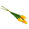 Svazek 3 ks tulipánů | Žlutá