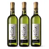 1× Müller Thurgau 2018, 1× Cuvée RV & SVG & RR 2018, 1× Tramín červený 2020