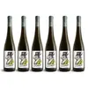 6× Rulandské bílé 2019