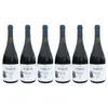6x Pinot Gris (Rulandské šedé), 2022