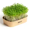 Sada pro domácí pěstování microgreens - Řeřicha