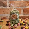 Marshmallow obalované v čokoládě - Zelený ječmen | Hmotnost: 100 g