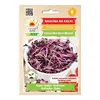 Ředkvička Red Hurricane ke klíčení, 10 g