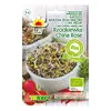 Ředvička China Rose semena na klíčky v biokvalitě, 20 g
