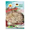 Pískavice (kozieradka) ke klíčení, 20 g
