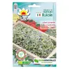 Rukola ke klíčení, 10 g